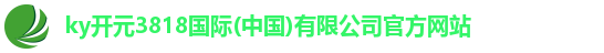 ky开元